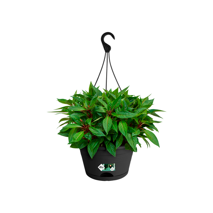 green basics hängeampel 28cm living schwarz